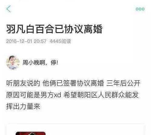 贵圈吃瓜网红,吃瓜群众眼中的娱乐圈风云人物