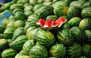 西藏网红吃瓜事件真相,真相与误解的交织