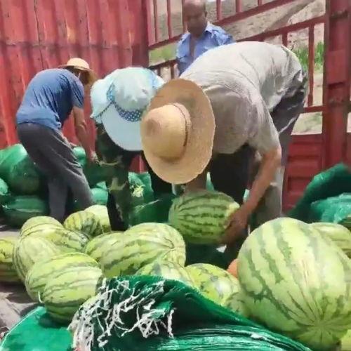 潍坊市两干部吃瓜网