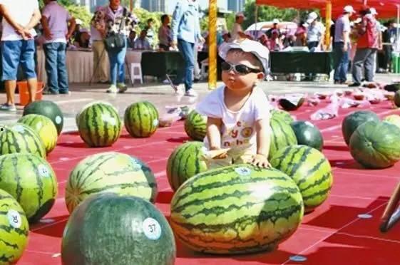 西藏网红吃瓜视频网站,揭秘高原生活趣味瞬间