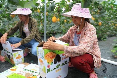 吃瓜逛街的网红叫什么,她是谁？如何走红网络？