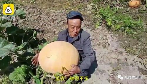 礼县吃瓜网红事件真相揭秘,揭秘背后真相与争议