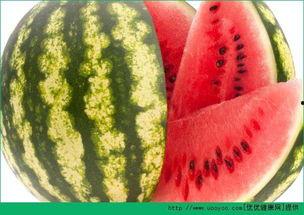 吃瓜网每日最新,娱乐圈最新热点事件深度剖析