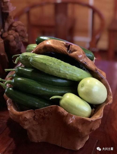 吃瓜区的网红,揭秘吃瓜区网红的崛起之路