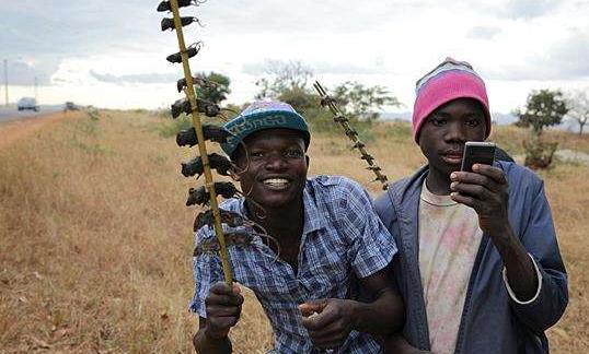 非洲网红吃瓜视频,趣味横生引网友热议