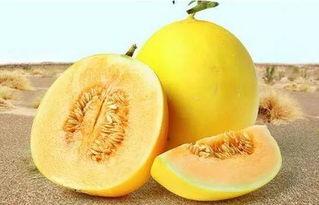 166.su吃瓜网,揭秘娱乐圈最新热点，带你畅游八卦海洋