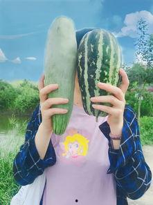 网红家暴吃瓜视频,揭开网络暴力背后的真相