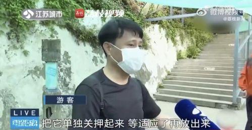 网红吃瓜男生是谁,他是谁？为何成为网络焦点？
