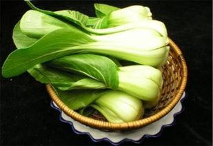 吃瓜网菜网红视频大全,笑料百出，精彩纷呈！