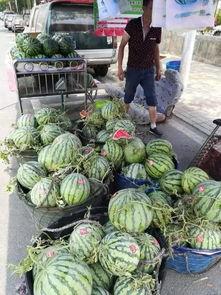 永康网红吃瓜事件视频