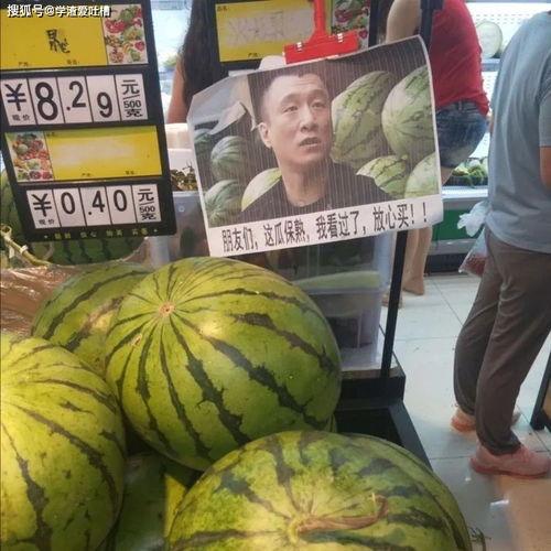 吃瓜视频精品网红,揭秘吃瓜视频精品网红的魅力